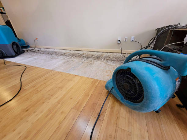 Reliable Basement Flood Cleanup contractor in Rogers, MN by Hirex Water Damage