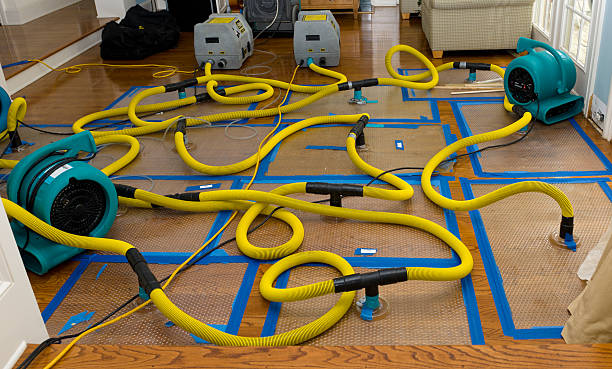 Professional Basement Flood Cleanup technician working in Rogers, MN